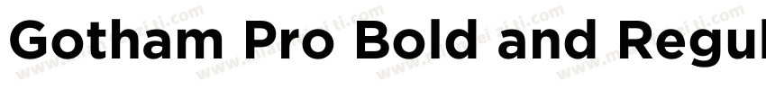 Gotham Pro Bold and Regular字体转换